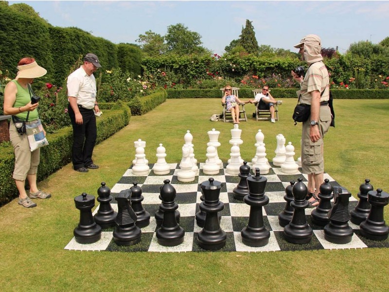 vodnik in potnik pri šahu