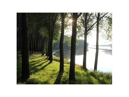 Dusan-Tizic-Banatska-Palanka