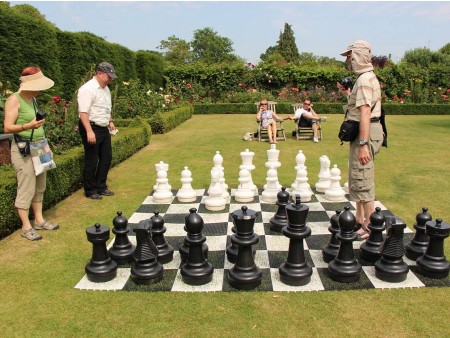 vodnik in potnik pri šahu