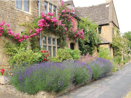 SSivka odlično uspeva v Angliji