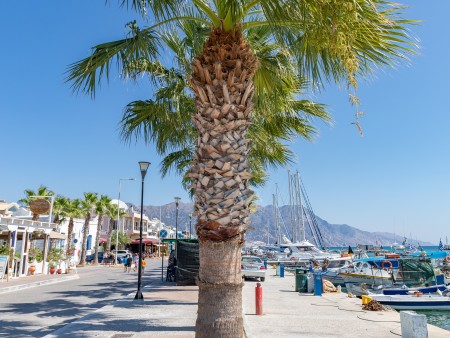 Počitnice Grčija, otok Kos, Kos - hotel Koala 2*