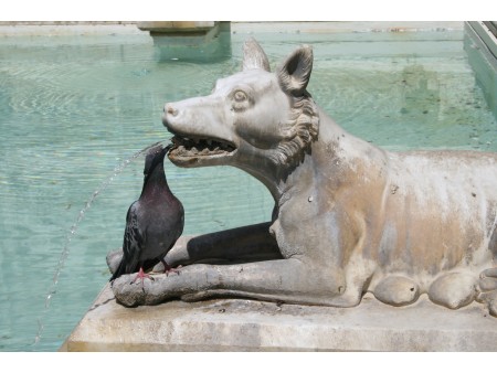 Potovanje Toskana in Firence vodnjak v Sieni