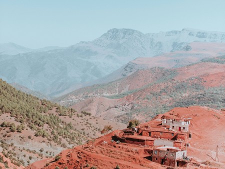 vasica z Atlasom v ozadju