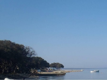 Počitnice Hrvaška Baška Voda - aparthotel Palac 3*