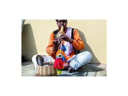 Potovanje Indija in narodni park Ranthambhore