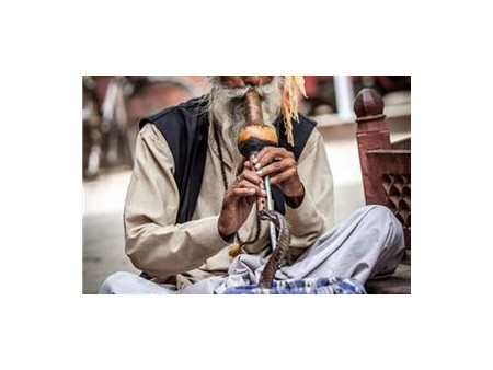 Potovanje Indija in narodni park Ranthambhore