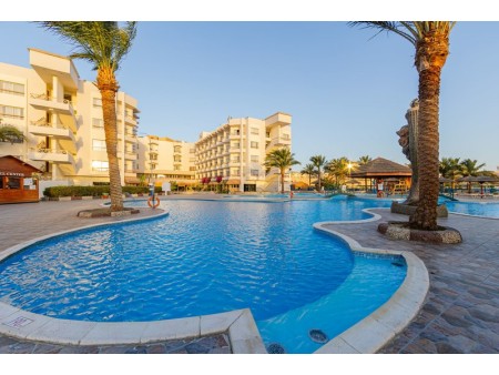 Seagull Resort - bazen in palme