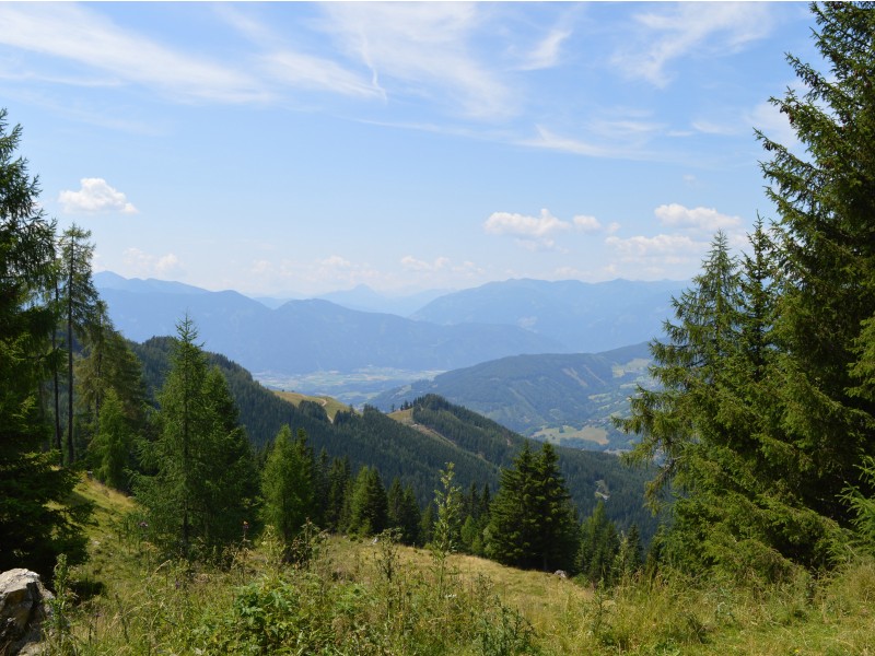 značilen pogled na poti