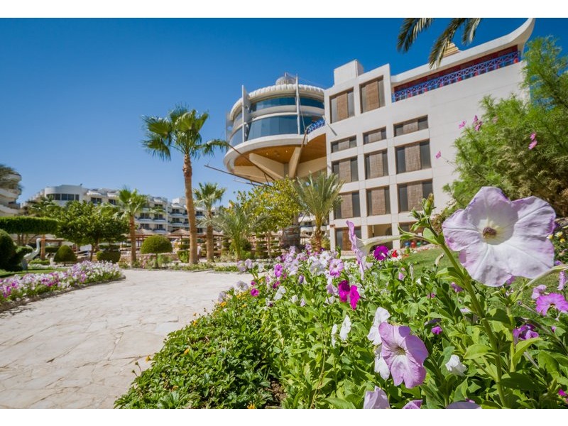 Seagull Resort Hurgada - rože