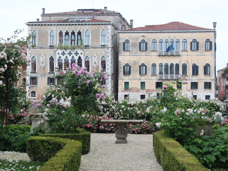 Kje so najlepše vrtnice v Benetkah