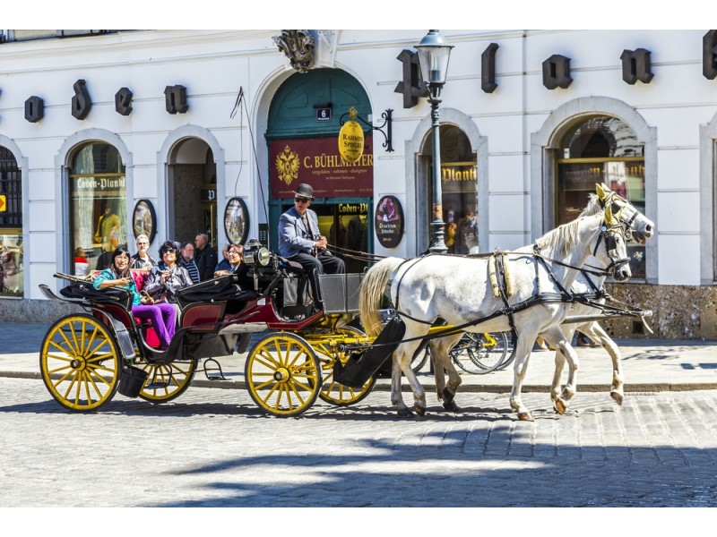 prevozi turistov s konjički