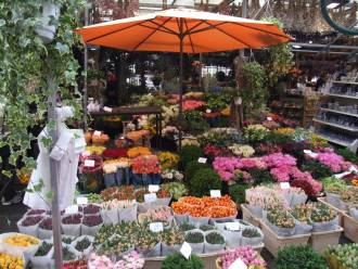 Amsterdam, izlet, cvetlični trg