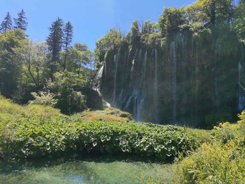 Plitvice bogati gozdovi