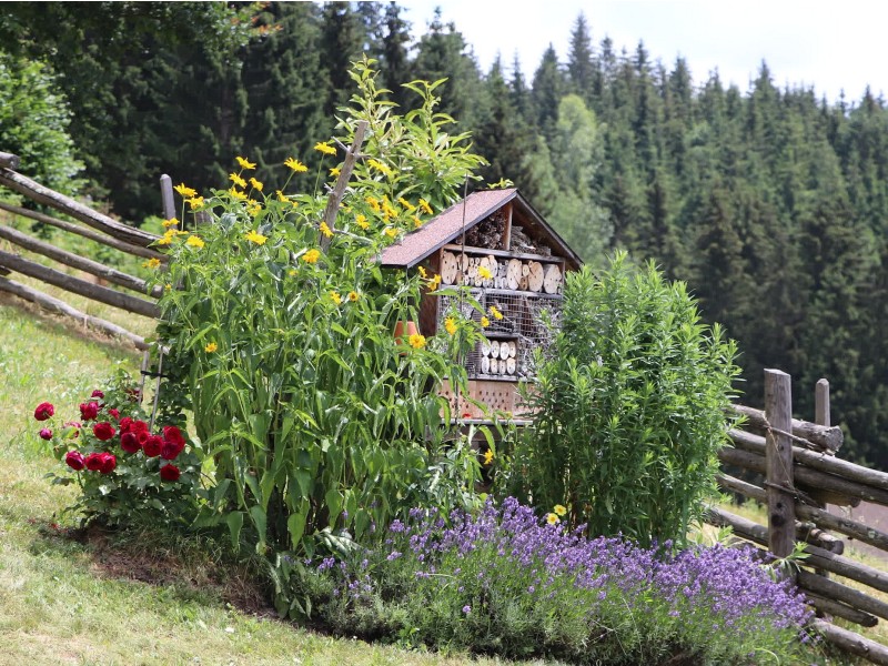 Hotel za koristne žuželke