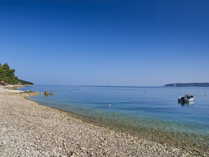 plaža prijazna malim živalim