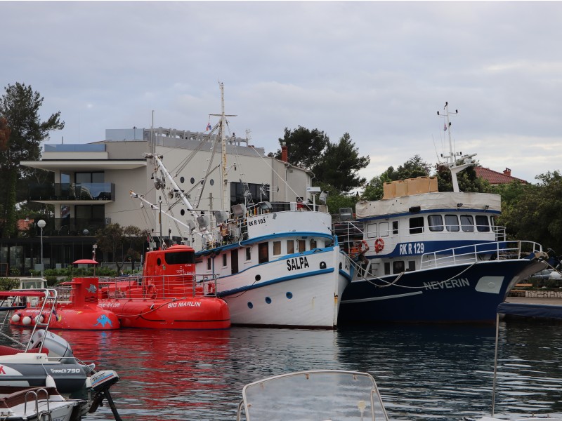 turistične in ribiške ladje
