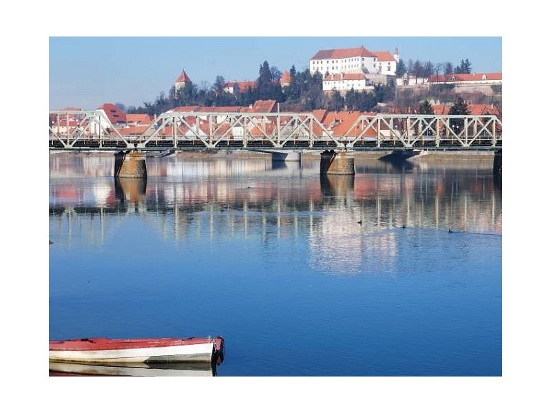 Drava in Ptujski grad