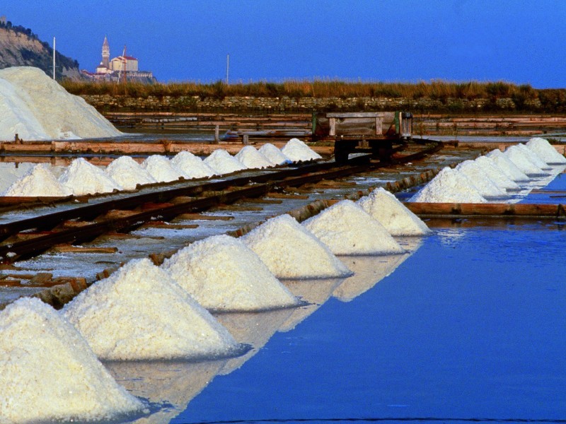 Salines near Portoroz