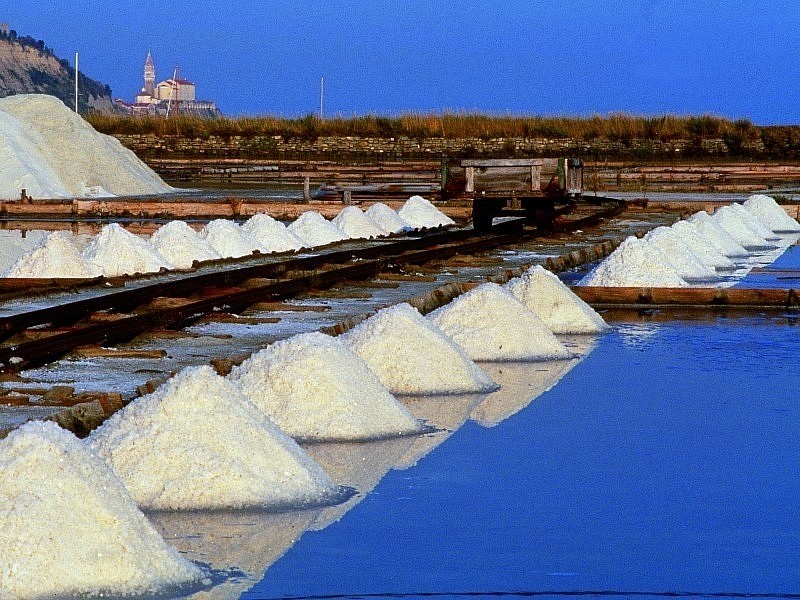 Unique Salines of Portorož