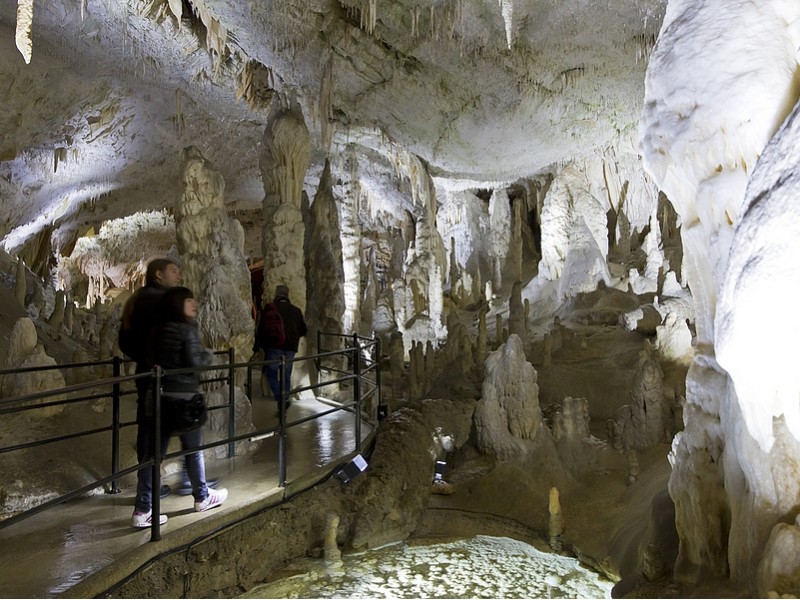 tourist attraction in Postojna