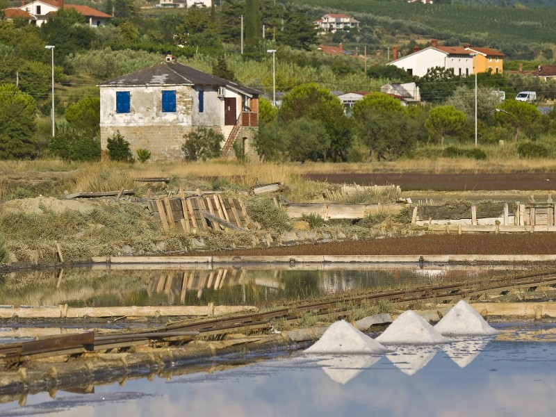 Sečovlje soline