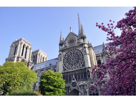 Notre Dame Pariz