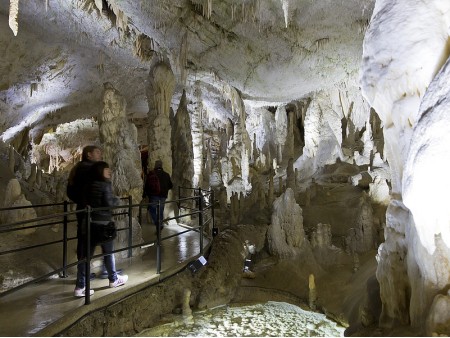 Carsic cave-Postojna-Slovenija