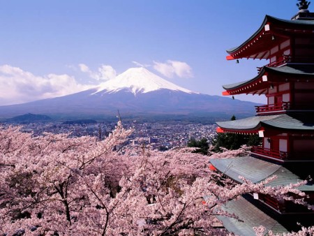 Cvetoče češnje in pogled na goro Fuji