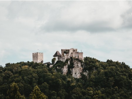 Celje castle