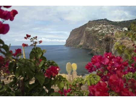 otok večne pomladi Madeira