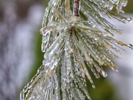 Babno polje ima pogoste minuse,
ampak le v temperaturah