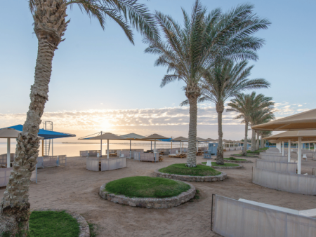 Plaža in palme