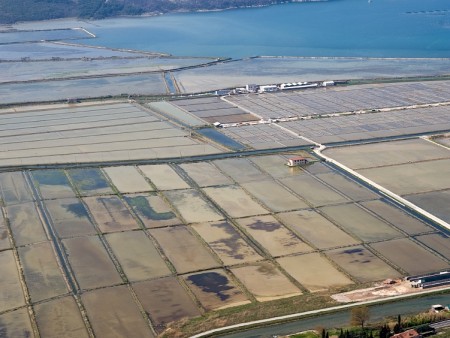 Saline fields Sečovlje