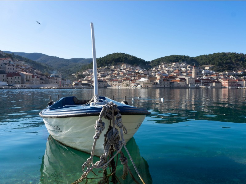 brac mirna

