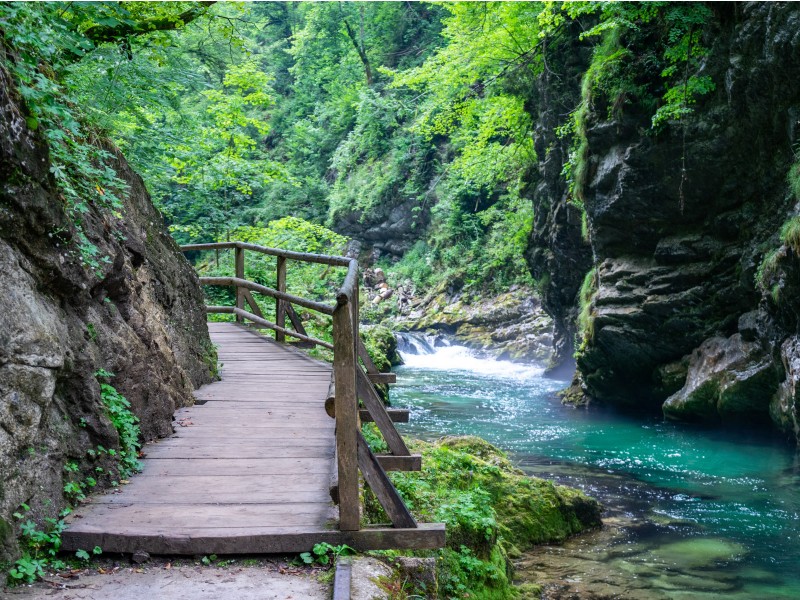 Bled Vintgar gorge