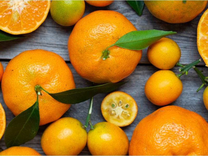 domače mandarine
