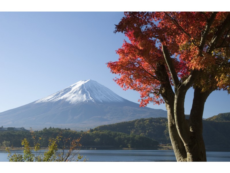Pogled na goro Fuji