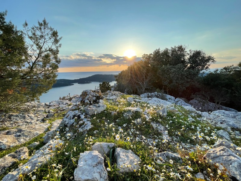 Mljet kamenje in rastlinje