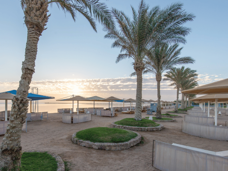 Plaža in palme