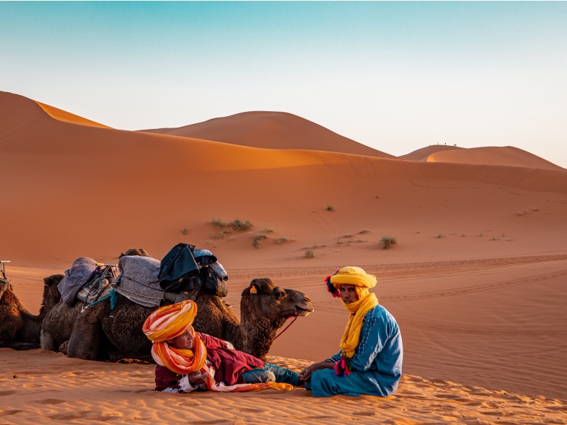 pesek, kamele in beduini
