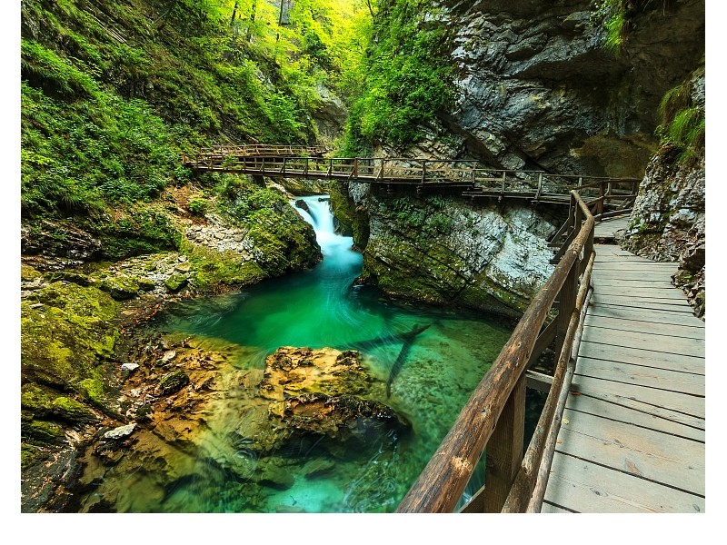 Vintgar Gorge and Radovna river