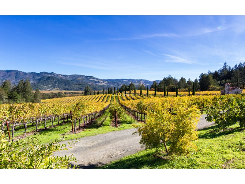 dolina Napa in vinogradi